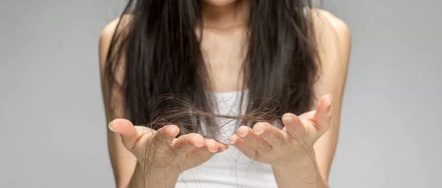 阿胶治疗脱发是真的吗？