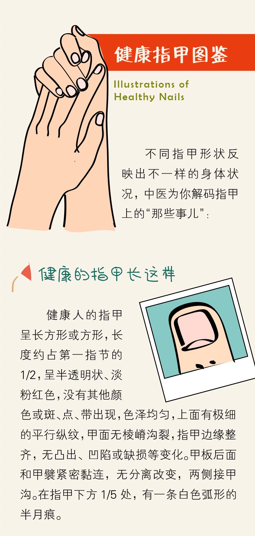中医眼里的『指甲』：五脏六腑的健康都写在指尖上