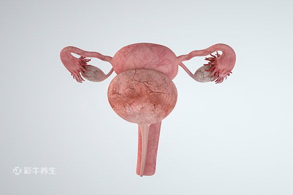 子宫肌瘤最怕4种食物