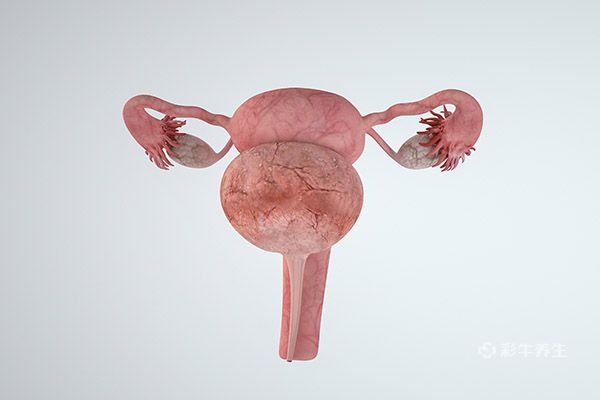 卵巢功能不好怎么调理改善