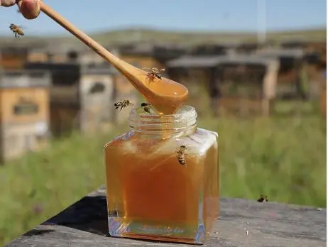 蜂蜜梨水的作用与功效是什么?雪梨加蜂蜜做法和功效?