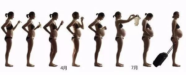 亲身经验 | 怀胎10月，每月1条超实用建议，孕妈必看！
