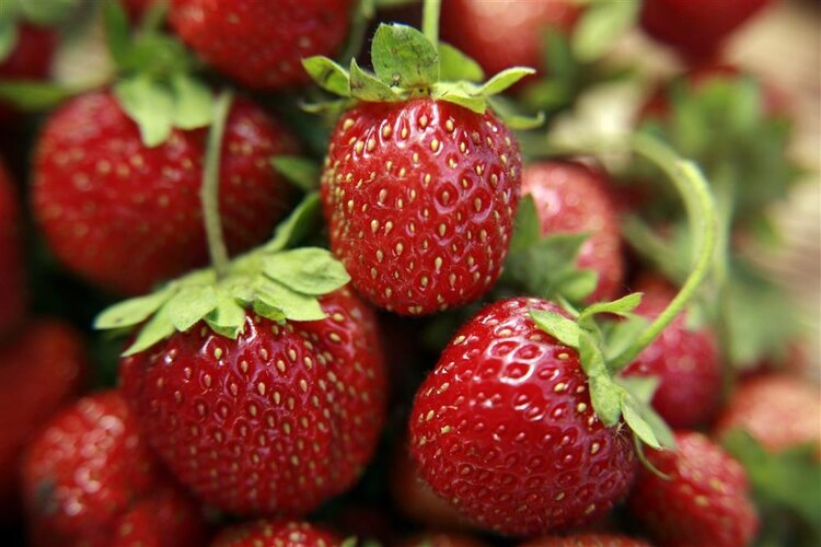草莓不能给孩子吃，有这4个原因？真相和你想的不一样，来涨知识