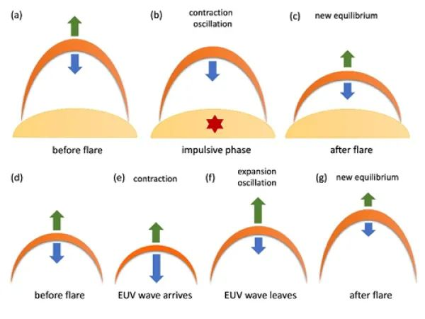 日冕极紫外波与冕环相互作用的研究取得进展