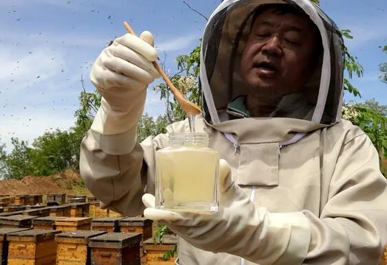 喝蜂蜜水的功效与作用?早晚喝蜂蜜水的作用与功效?