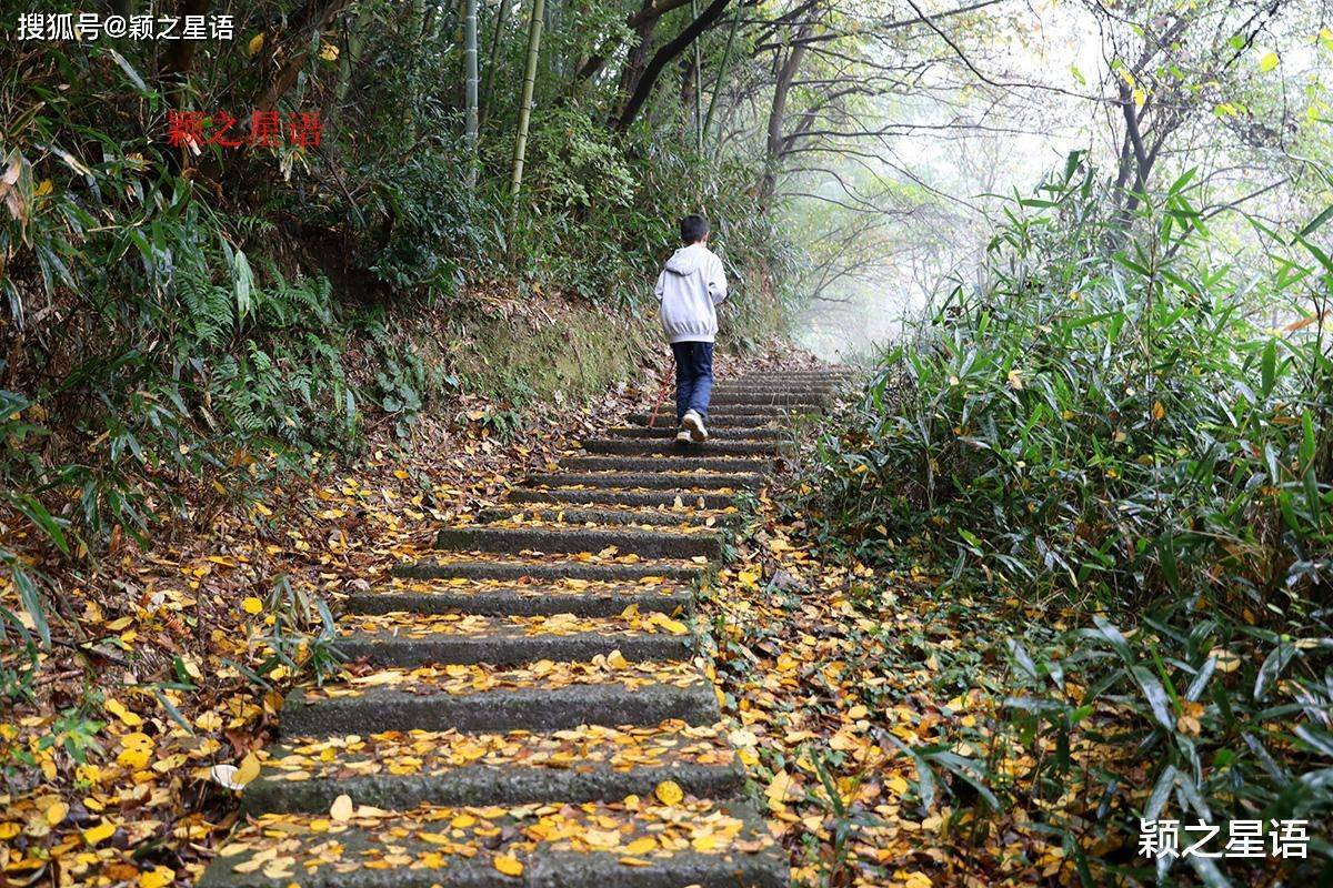 宁波有座奇特的山，第八条黄金古道，西坡美在春，东坡美在秋