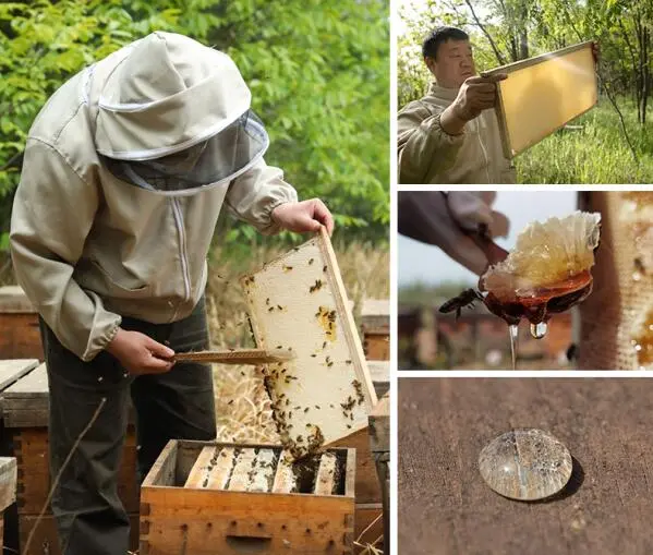 蜂蜜怎么弄好吃又简单?蜂蜜的简单吃法大全