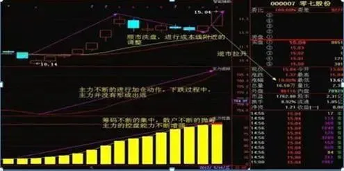 巴菲特点破中国股市：如果股民在11年前买了50万格力的股票，现在赚了多少钱了？从贫穷到财富自由