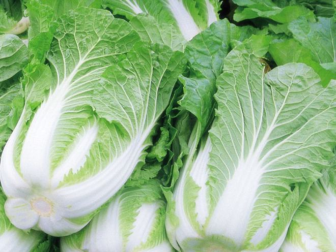 中医儿科杨晓：白菜的营养价值和功效作用，食用时有哪些注意事项