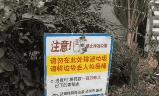 韩国再现“中文标牌”, 中国游客脸色大变：以后求我去我也不去了