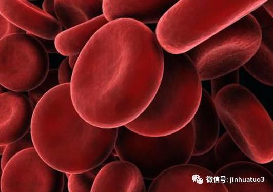 中医思维原创|阿胶不含铁，为何能补血？