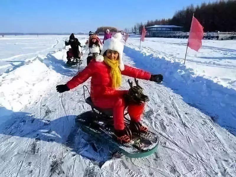 东阿阿胶城冰雪狂欢节（1月1号）